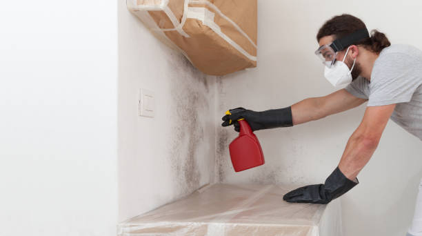 Professional Mold Remediation technician working in Oradell, NJ