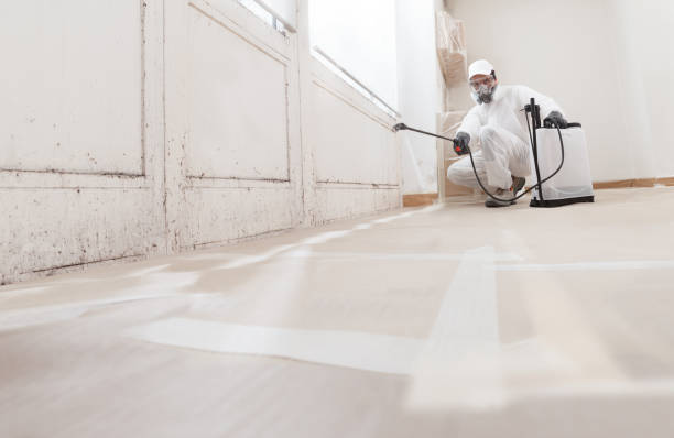24/7 Emergency Mold Remediation experts in Oradell, NJ