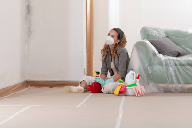 Reliable Mold Remediation contractor in Oradell, NJ by WQB Mold Removal