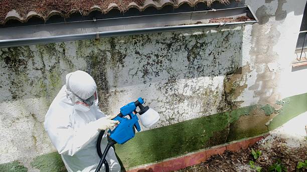Top rated local Mold Remediation specialists in Oradell, NJ